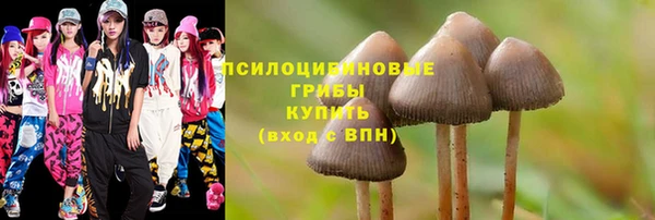 2c-b Балабаново