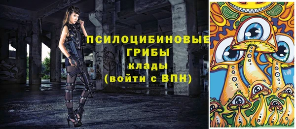 крисы Нязепетровск