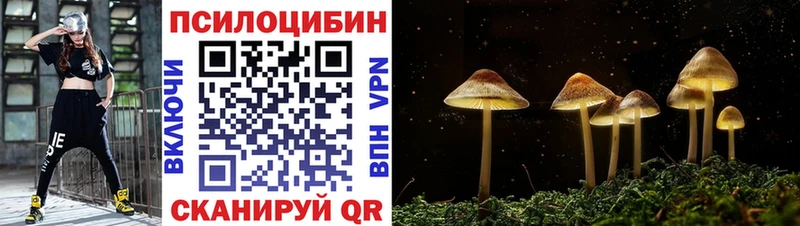 Псилоцибиновые грибы мухоморы  где купить наркоту  Кузнецк 